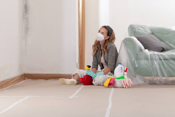 Reliable Mold Removal contractor in Beltsville, MD by WQB Mold Removal